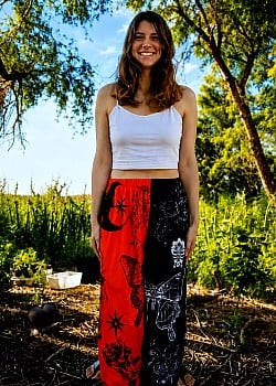 Miss Summer Monarch